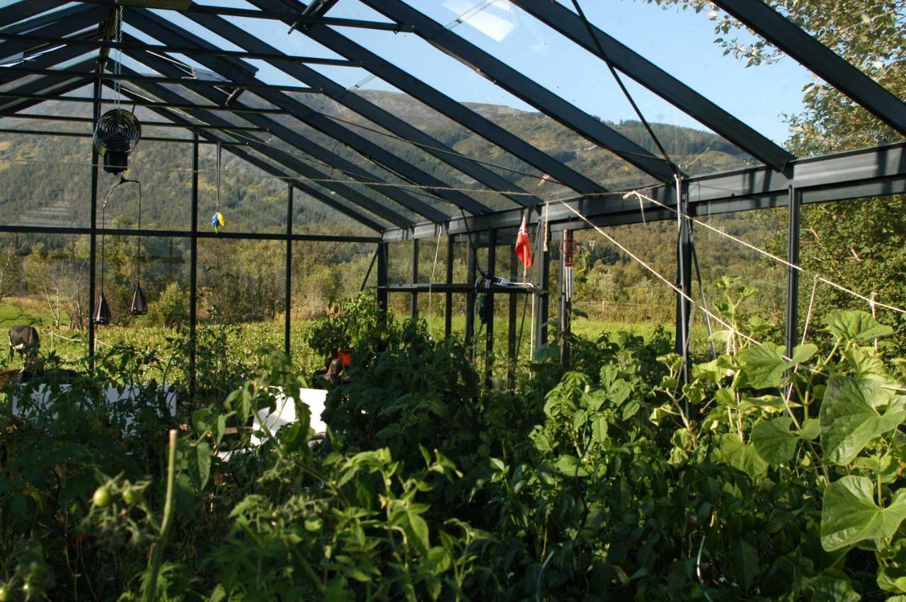Art Studio Sortland Esterno foto
